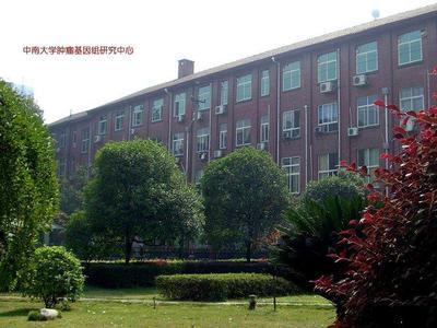 中国大飞机公司与中南大学!_我的大学_天涯社区