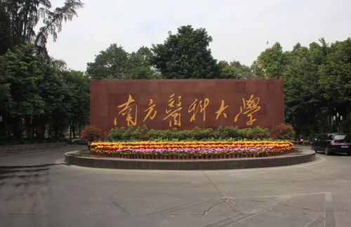 国内 顶级 医学院排名,共划分五个档次,考上一所就是人生赢家